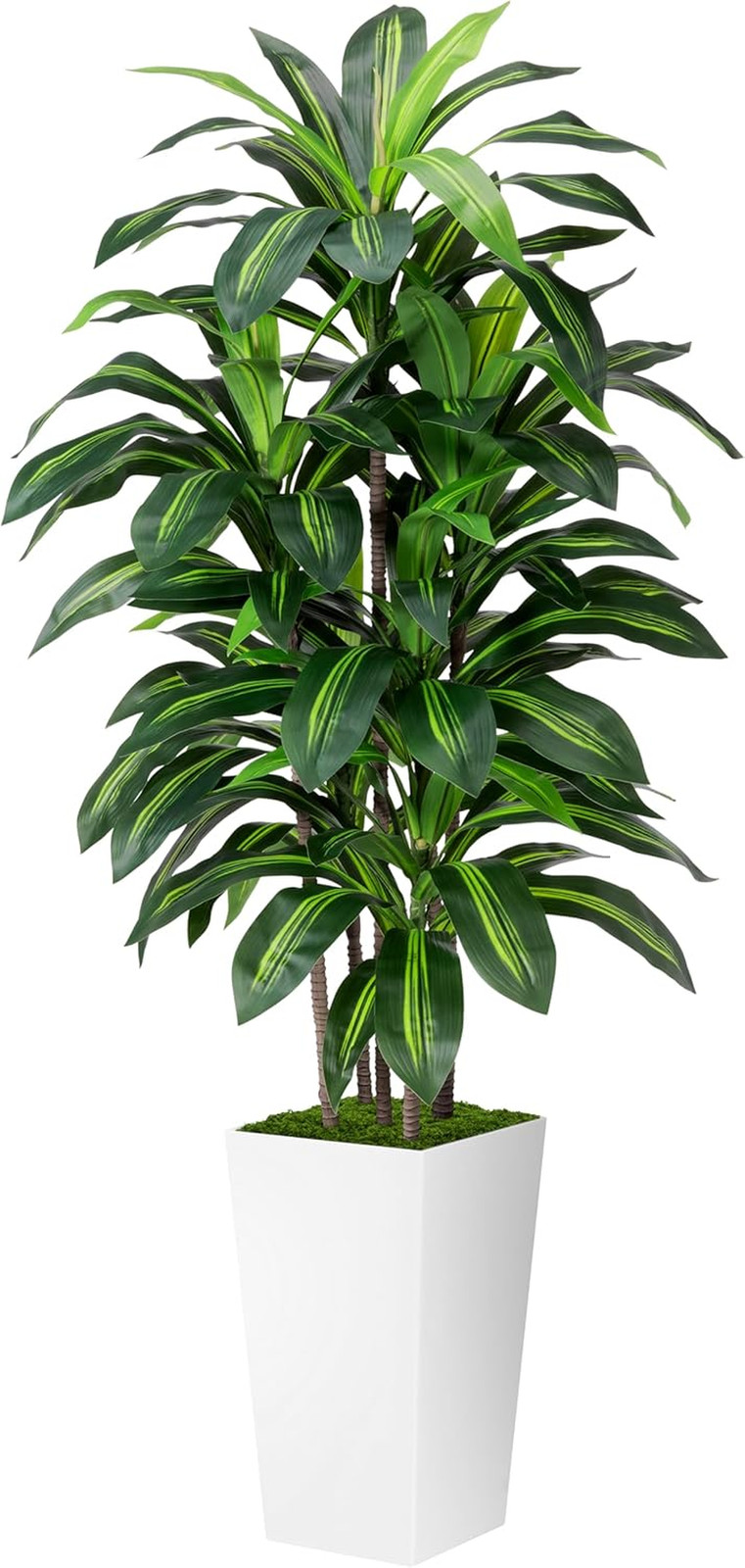 Artificial Dracaena Plant Indoor 5FT – Fake Tree with White Tall Planter – Faux