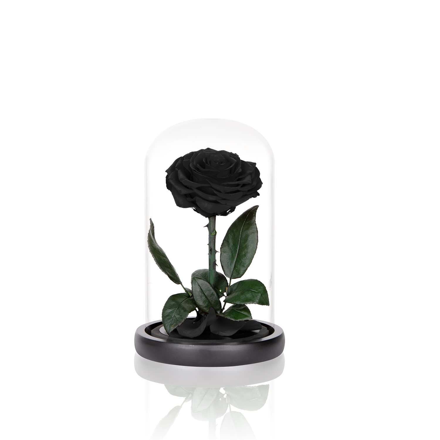 Preserved Roses Black Roses in Glass Dome, Medium, Real Rose That Last 2 to 3…