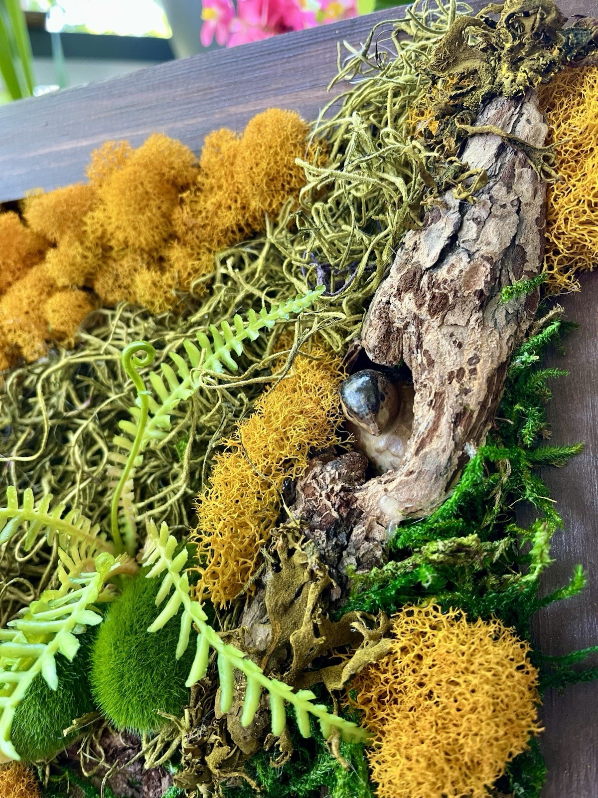 Framed Square Wood Moss Art Wall Decor w/ Succulents Fern Faux Greenery
