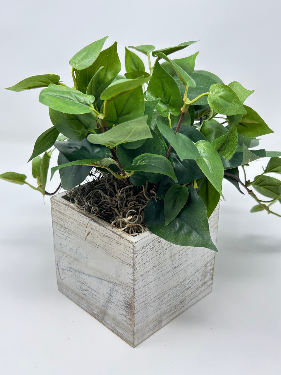 9″ MED Potted faux Green Pothos Vine Silk plant in White wood box – Home Decor