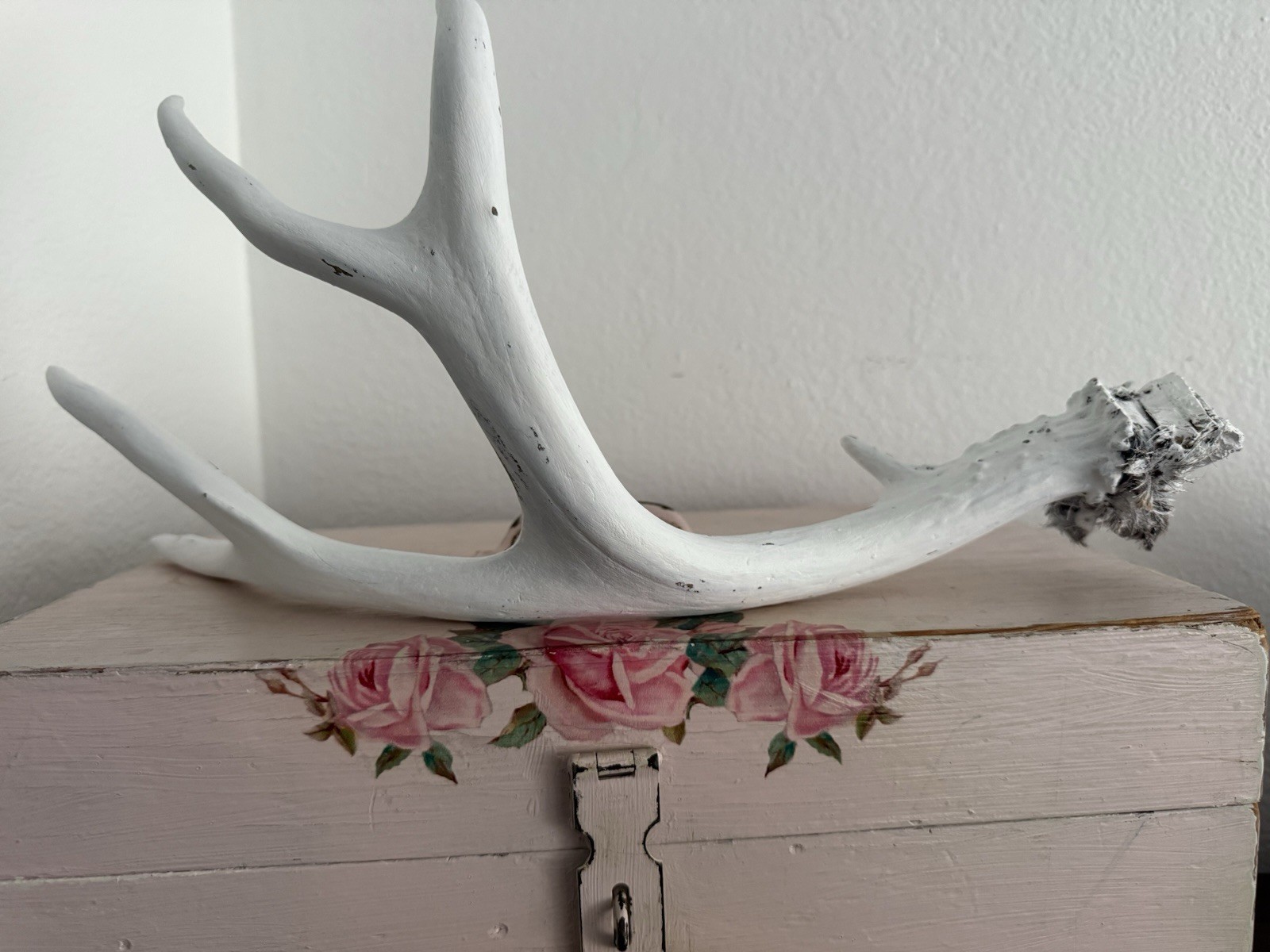 Shabby Cottage Antlers White Distressed With Roses