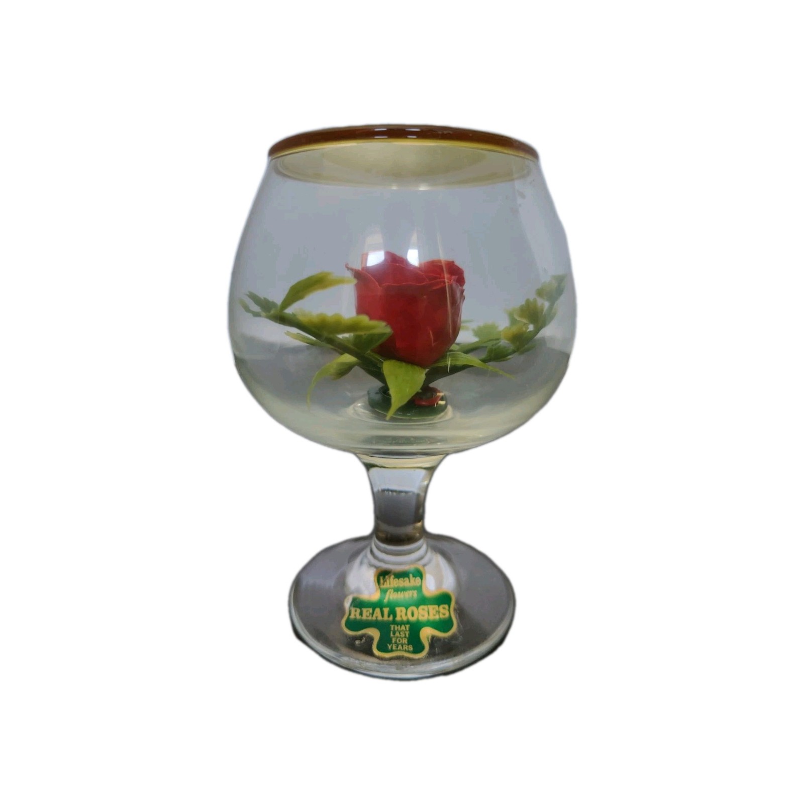 Lifesake Flowers Red Rose Preserved In Wine Glass Decor VTG Cottage Core Romance