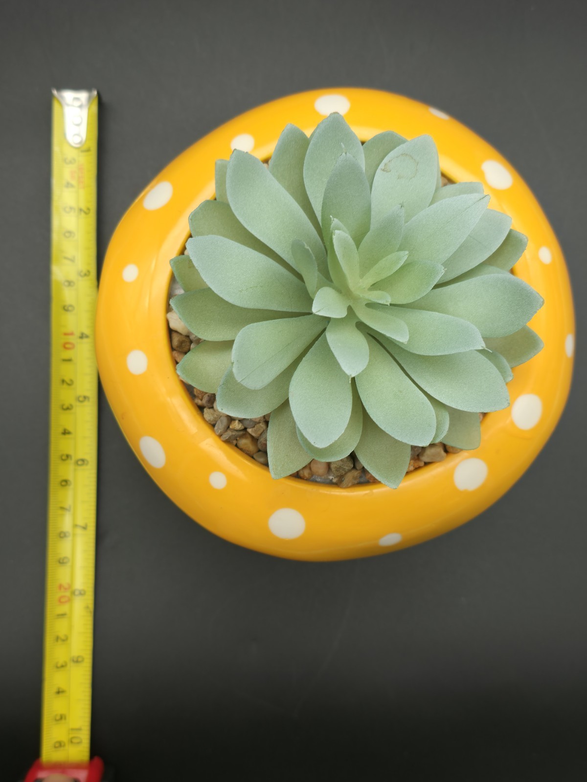 Succulent In Mushroom Pot With Face, Coffee Table Decoration