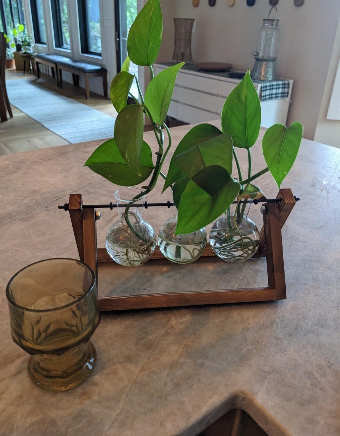 Plant Terrarium with Wooden Stand Air Planter Bulb Glass Vase Metal Swivel