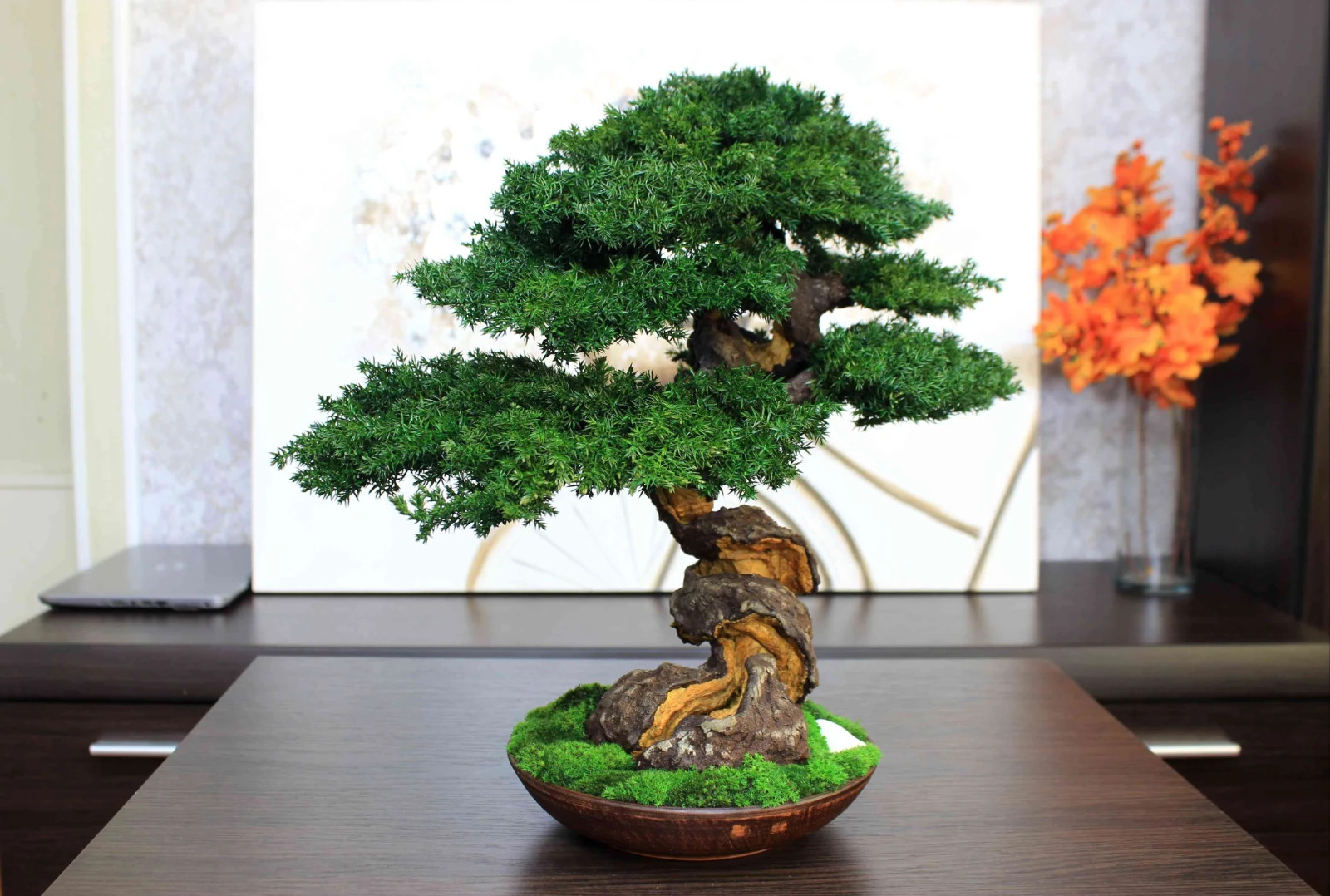 Exclusive Preserved Juniper Bonsai – Interior Art Sculpture. 40 cm / 15.75″