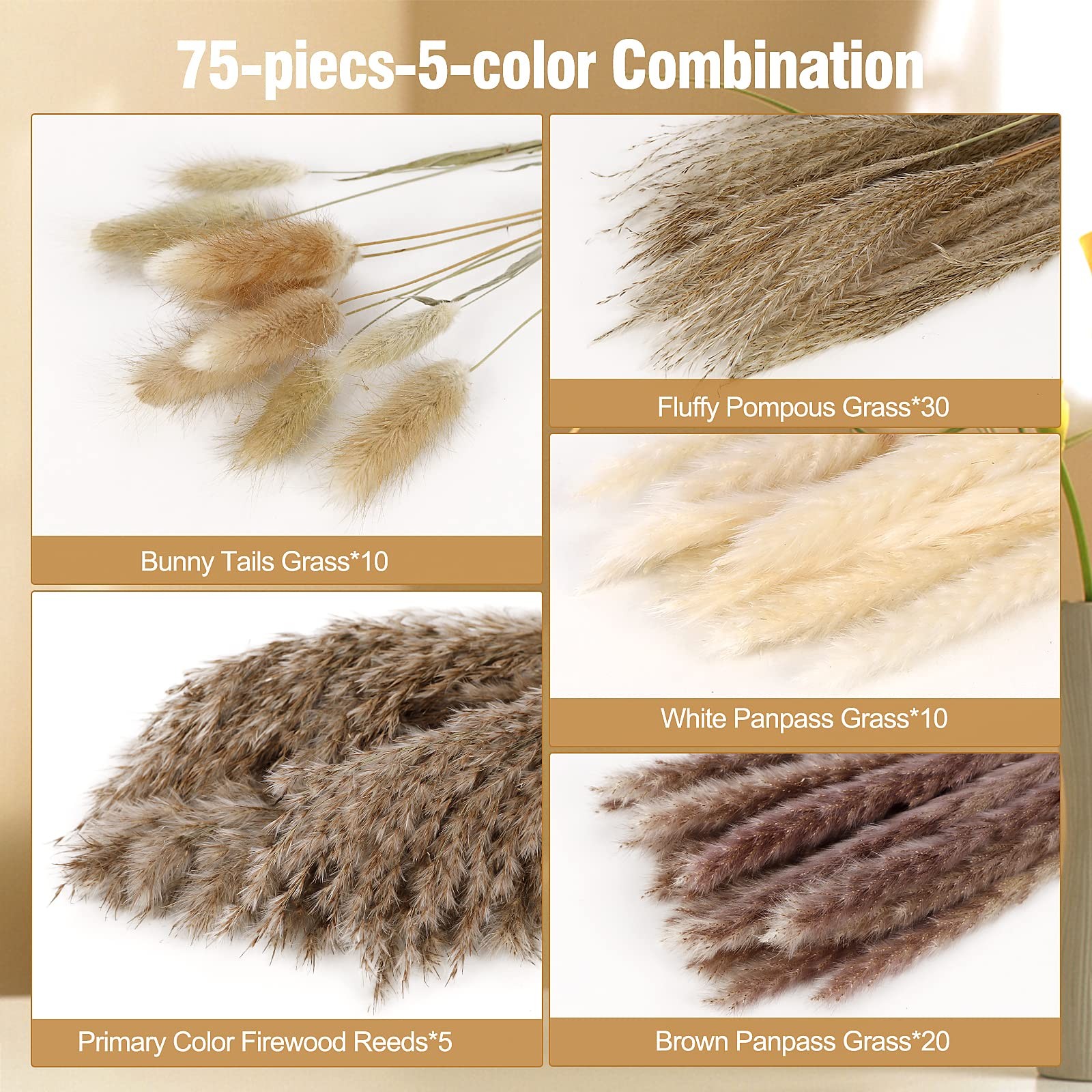 N&T NETING Dried Pampas Grass Decor- White Pampas Grass, Brown Pampas, Bunny …