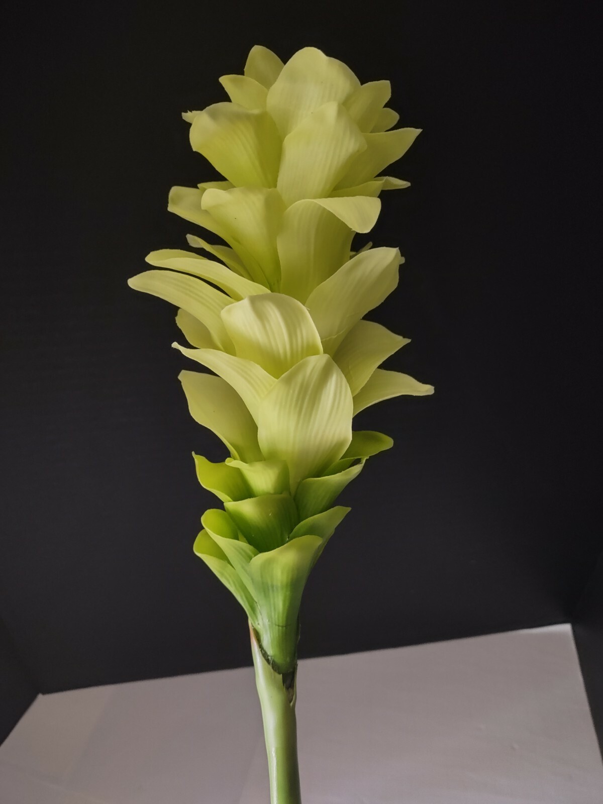 Ginger lily stem. Silk arrangements tropical Hawaiian flowers Lime Green