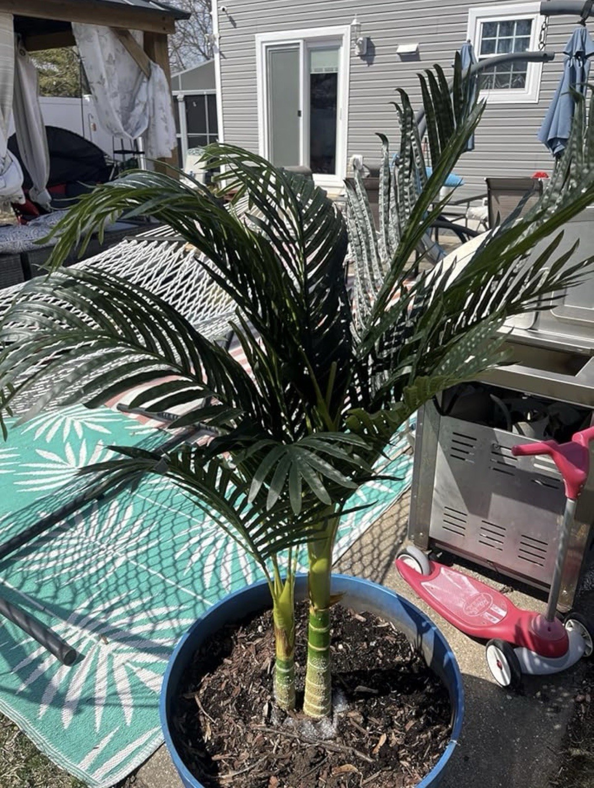 4’ Golden Cane Palm Artificial Tree w/15 Lvs Home Decor. Retail $94