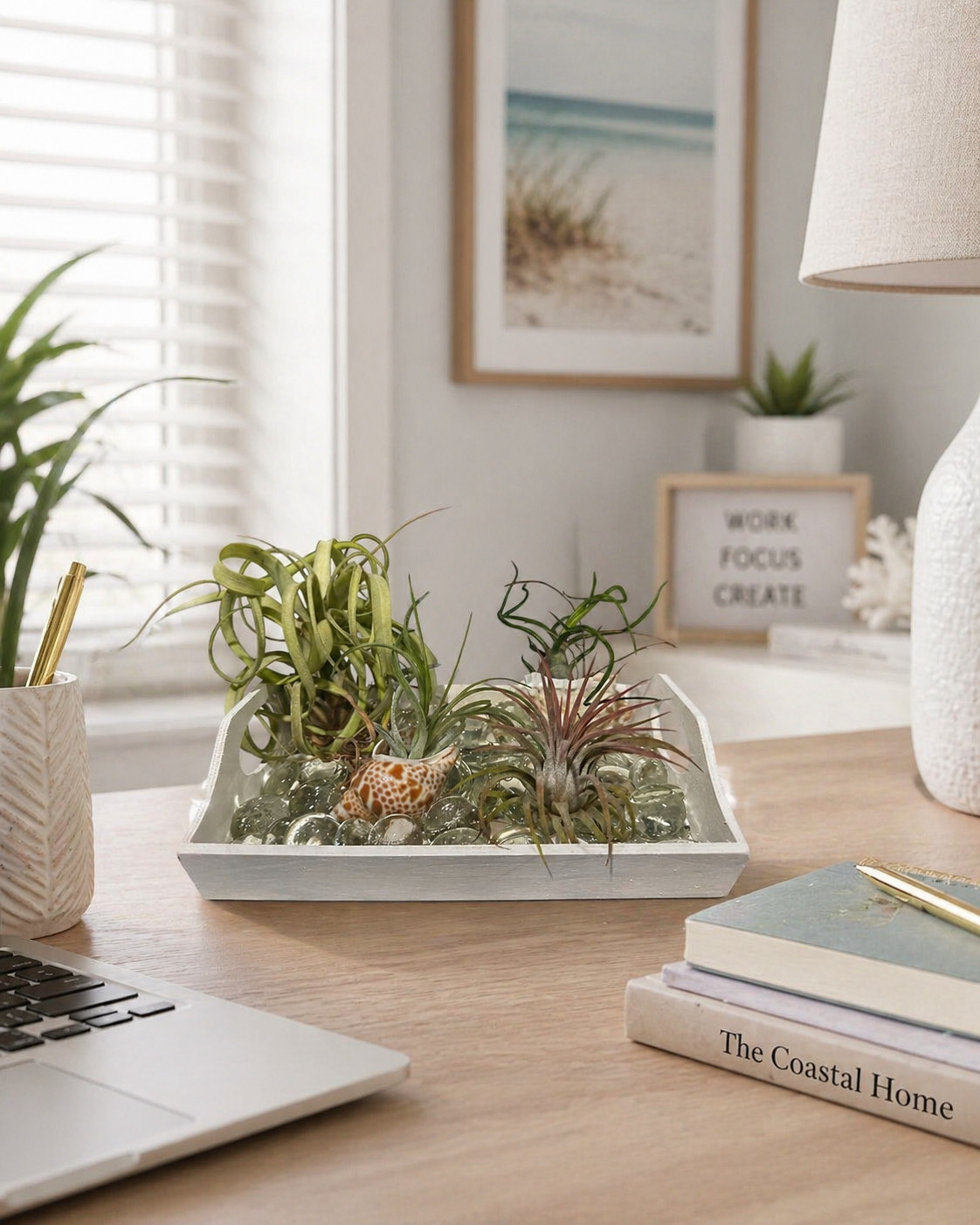 Air Plant Display Kit 4 Tillandsia Tray Glass Gems Shells Coastal Live Decor