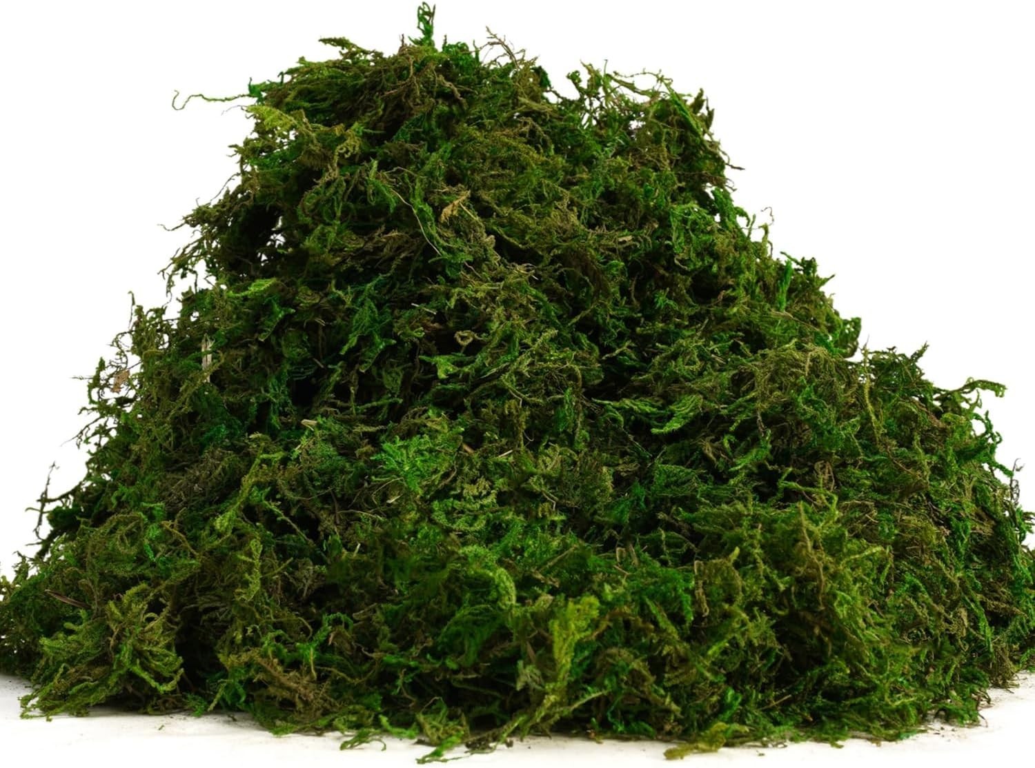 8OZ Fake Green Moss for Crafts, Terrariums, Fairy Gardens & Indoor Plants – N…