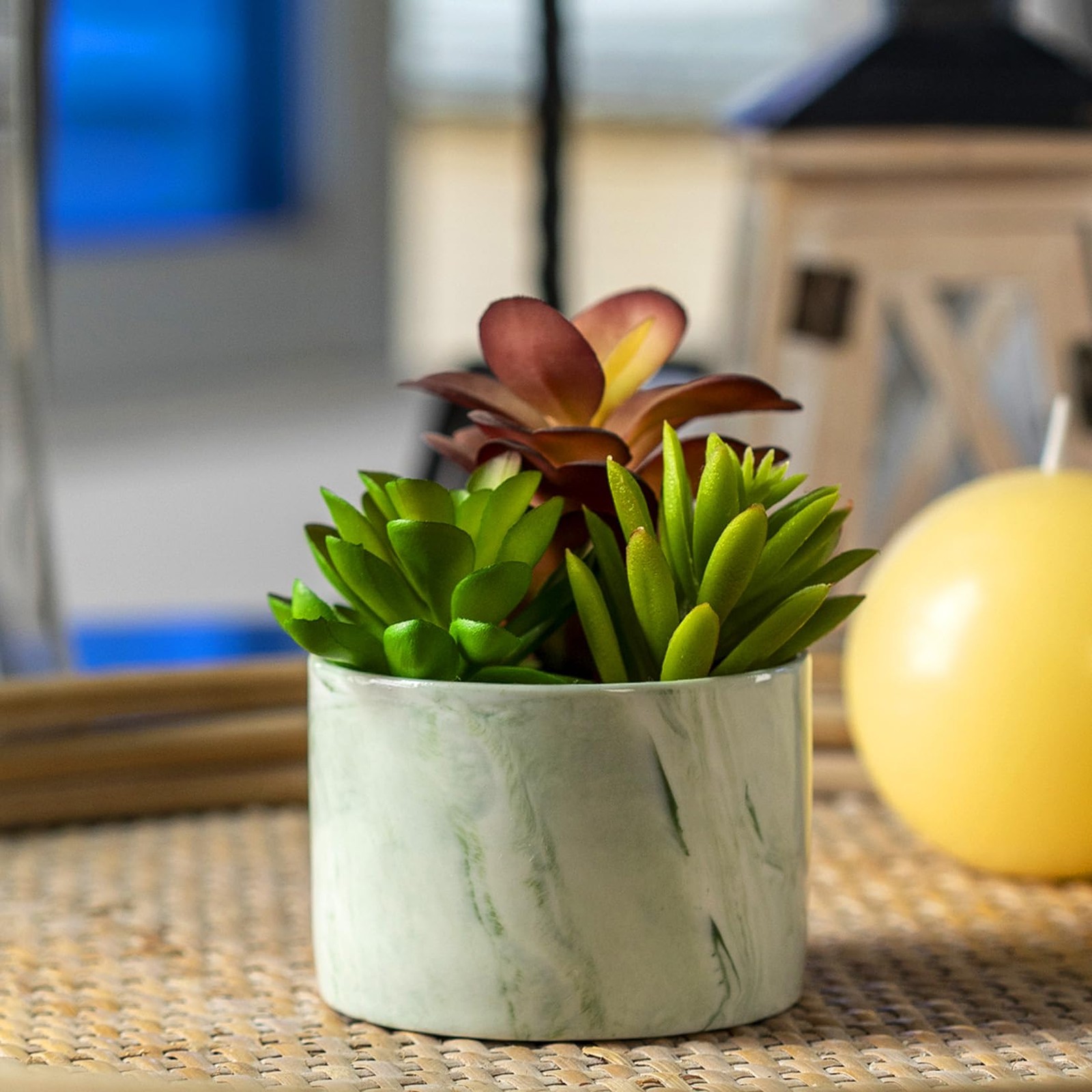 Artificial Plants Cute Colourful Succulents in Ceramic Planter Fake Plant Flower