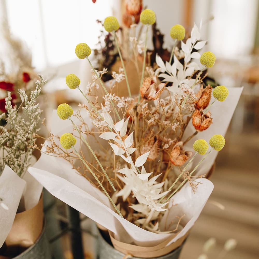 30 PCS Yellow Natural Dried Craspedia Billy Balls Flowers Button Bouquet Vase