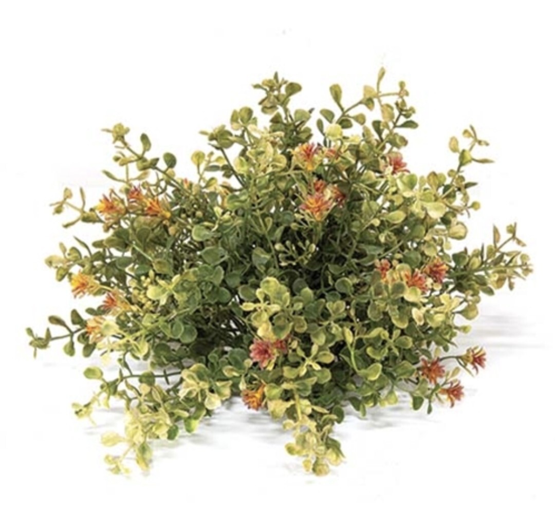 10″ Golden Buds & Baby’s Grass Half Sphere