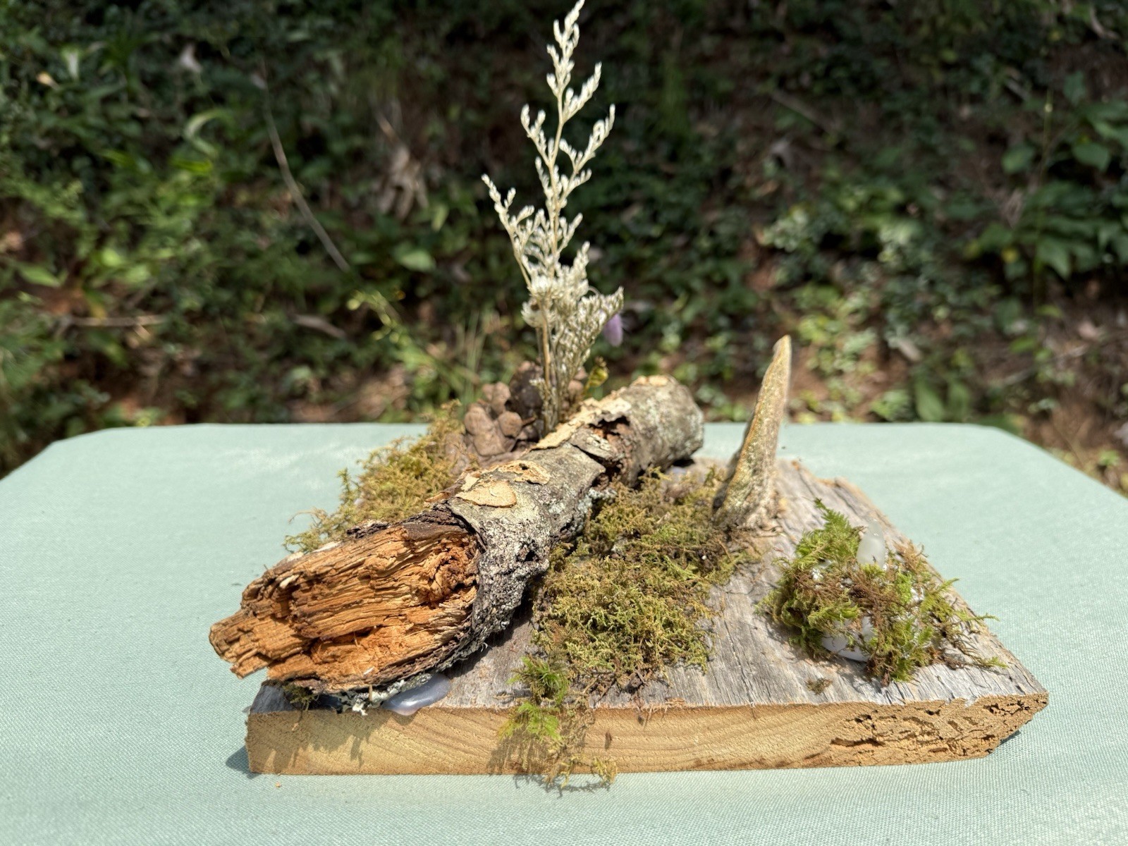 Home Decor Dried Floral Forest Arrangment