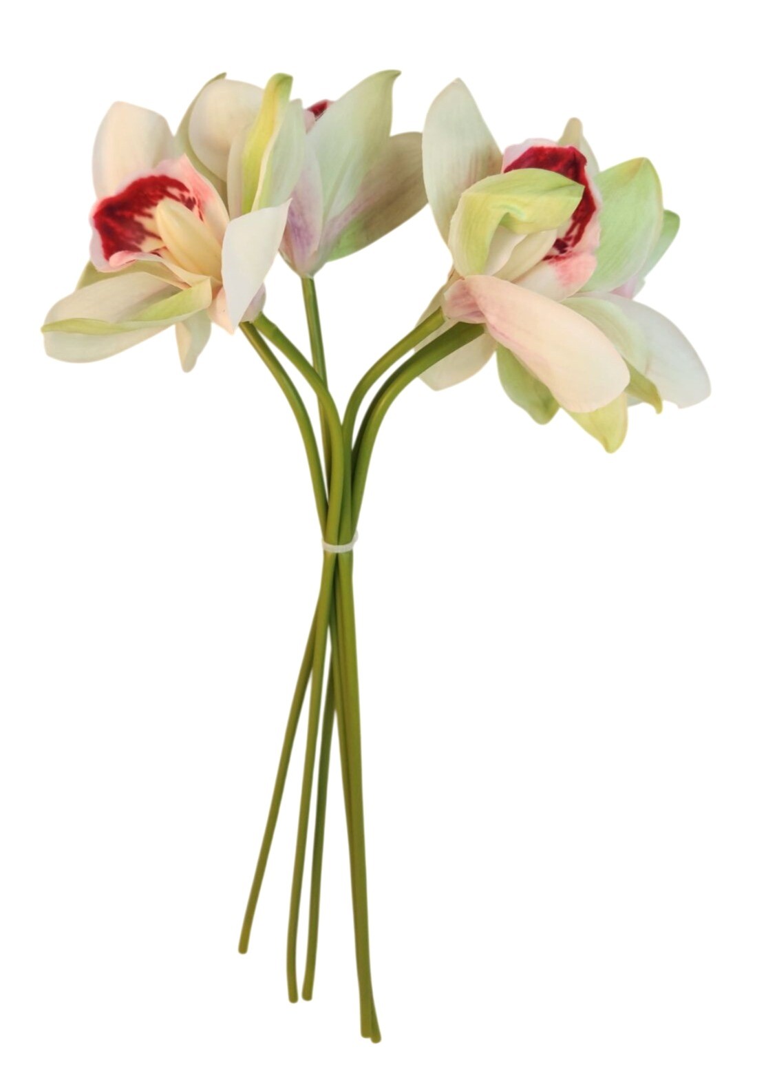 Artificial Cymbidium Orchid Stems Cream Green Burgundy Faux Orchid Bouquet Reali