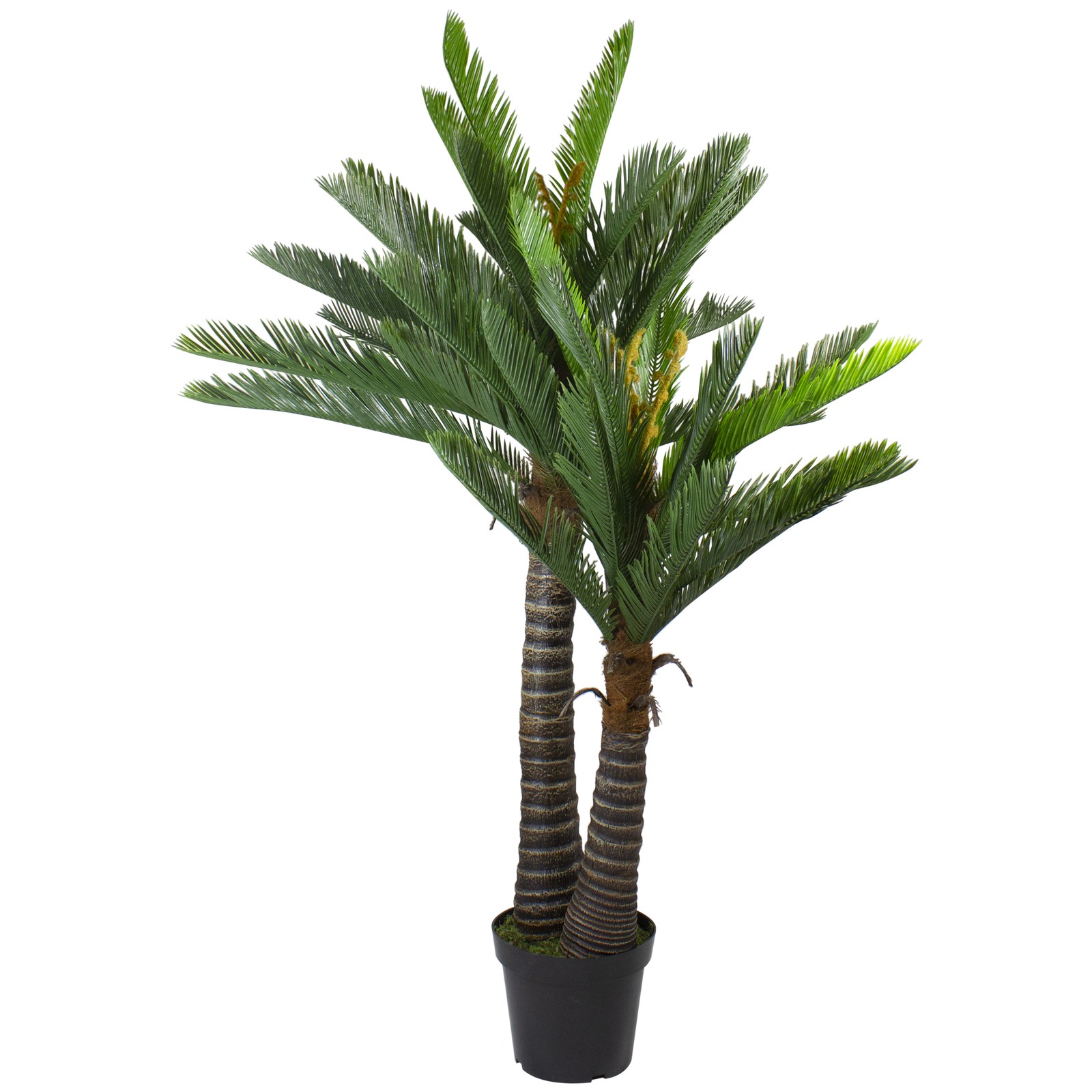 Northlight 5′ Potted Two Tone Green Cycas Artificial Floor Plant