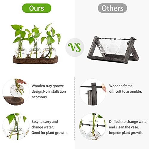 Desktop Plant Propagation Station Glass Planter Terrarium with Medium Brown