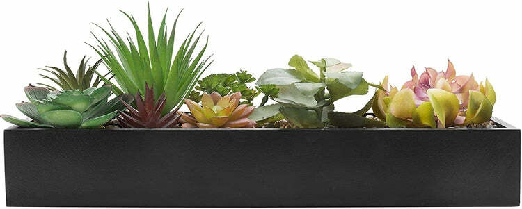 Artificial Assorted Succulent Arrangement in Rectangular Black Wood Planter Box