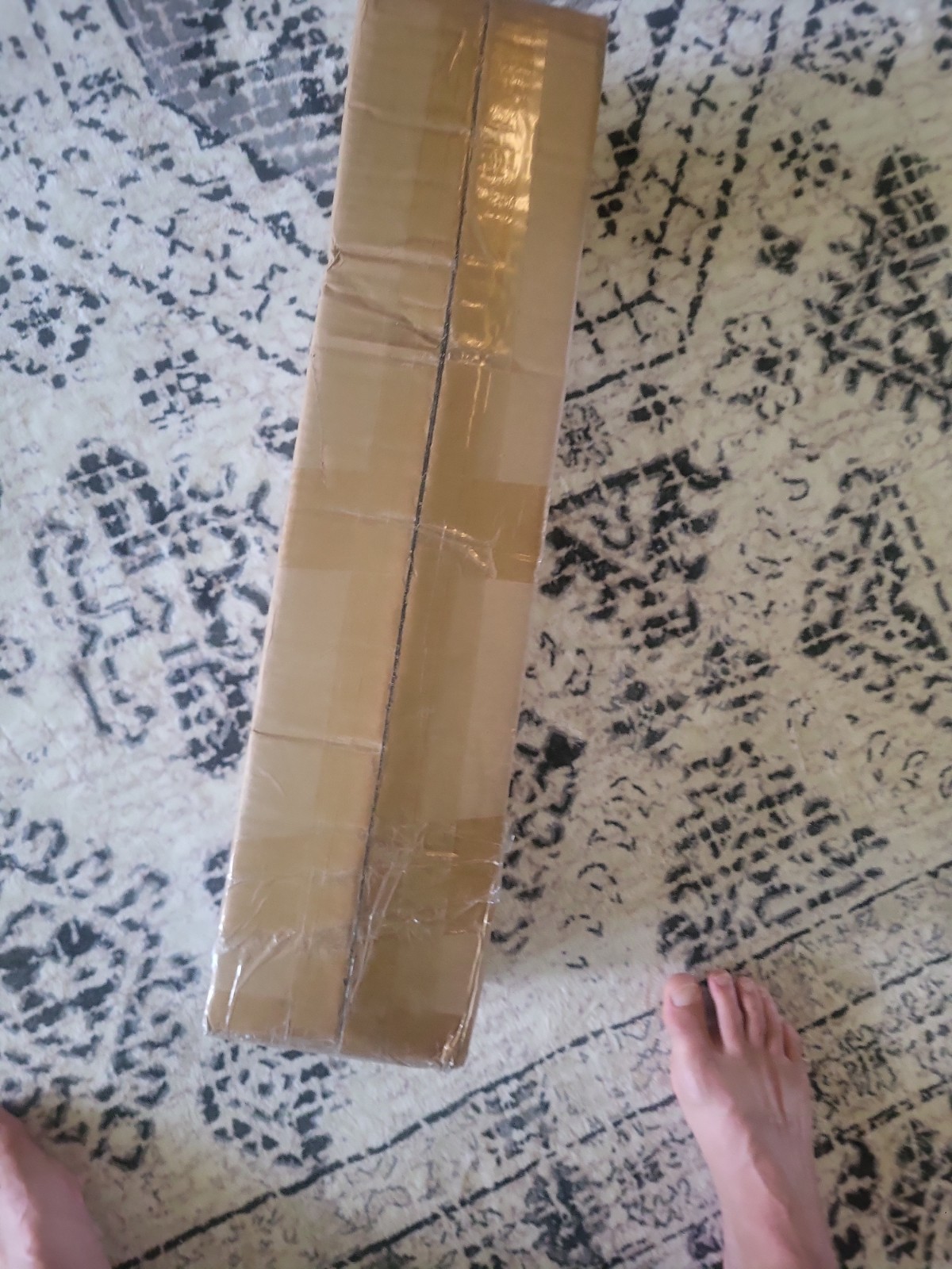 Halloween Decor Indoor Spider LED Lights Tree, 2Ft Black Spooky Bats
