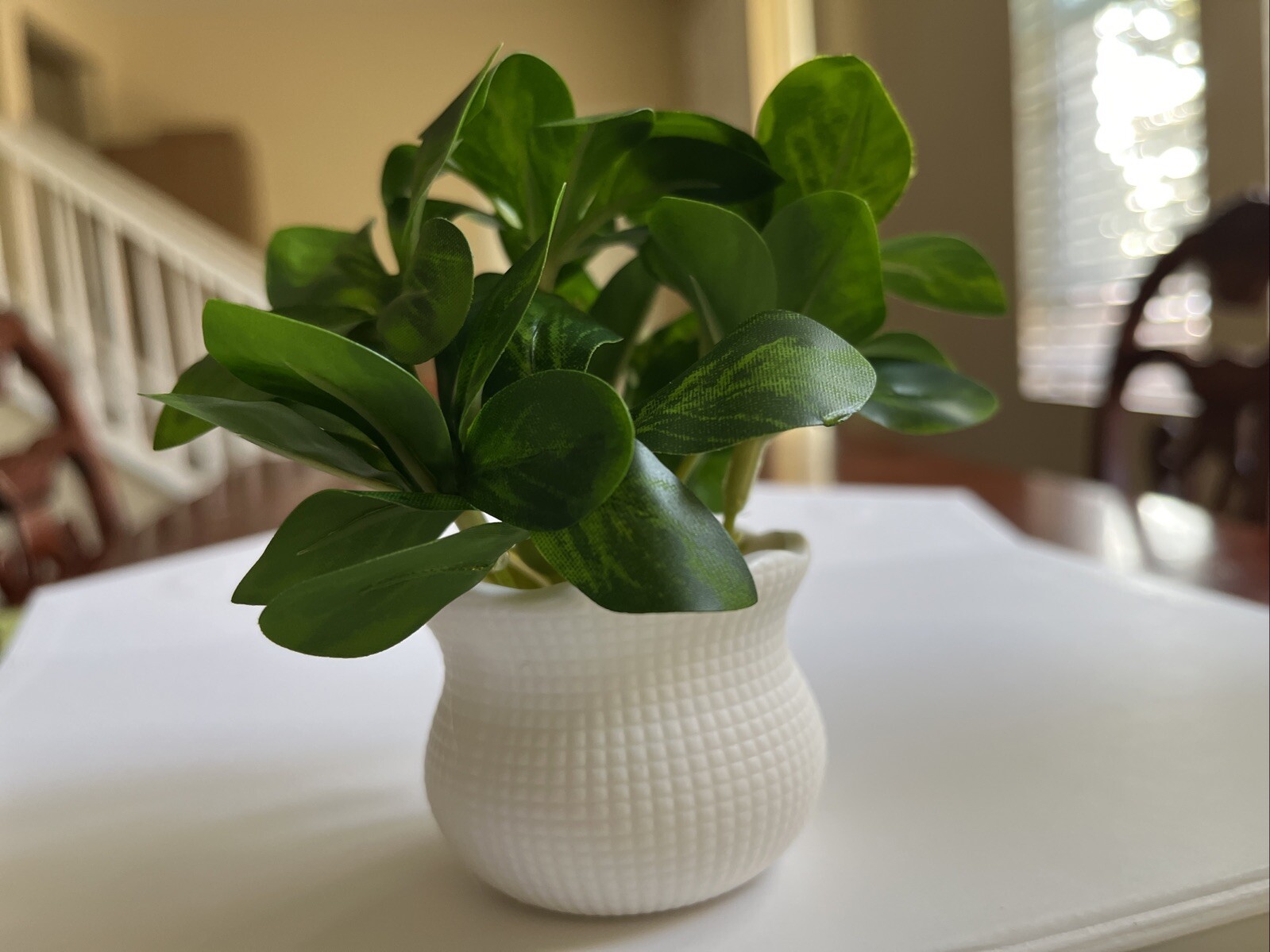 2Packs Artificial Potted Plant Scene Mini Fake Faux Plants for Home Office Decor
