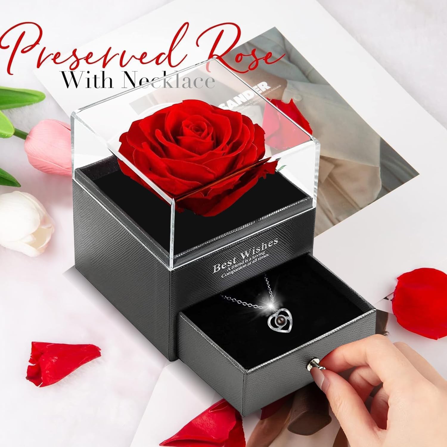 Preserved Real Rose with I Love You Necklace 100 Languages – Eternal Preserve…