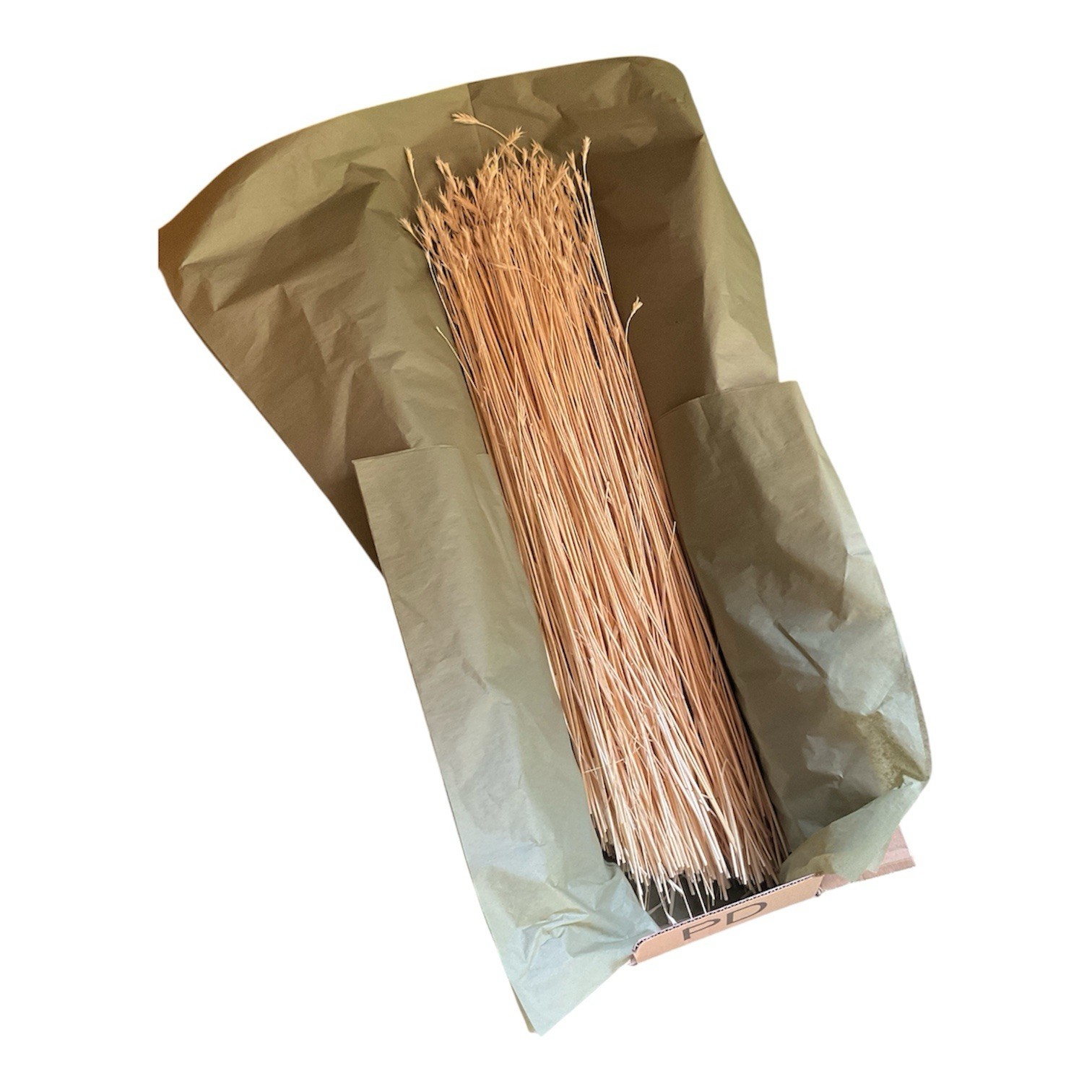 Dried Foxtail Grass Bundle: Rustic Floral Arrangement Supply in Natural Color
