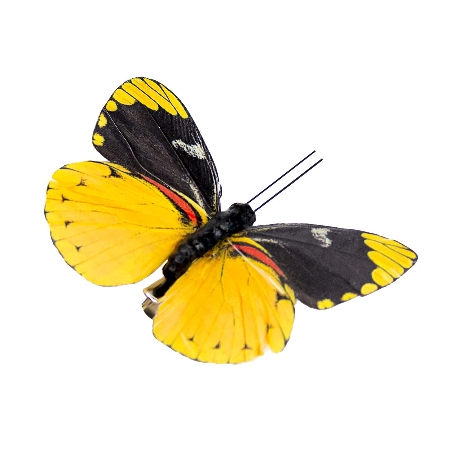 Feather Butterfly Craft Decoration Set of 12 with Clip | Wedding Home Decor