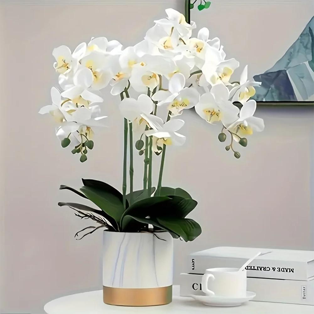69cm Artificial Phalaenopsis Flower Branches Real Touch Faux Orchid Stems for Fl