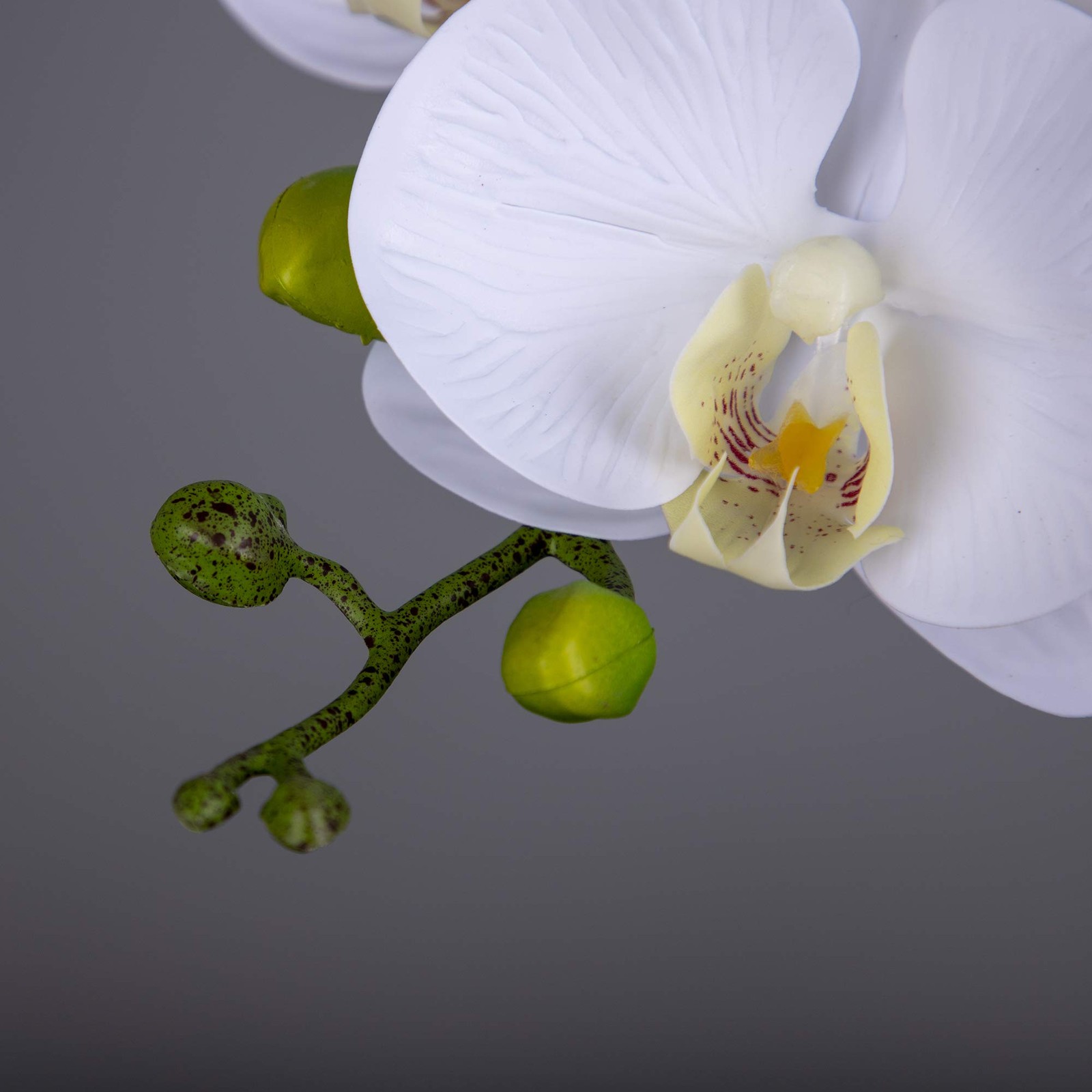 Orchid Stems Artificial Flowers Real Touch Latex Faux Phalaenopsis Branches 9 La