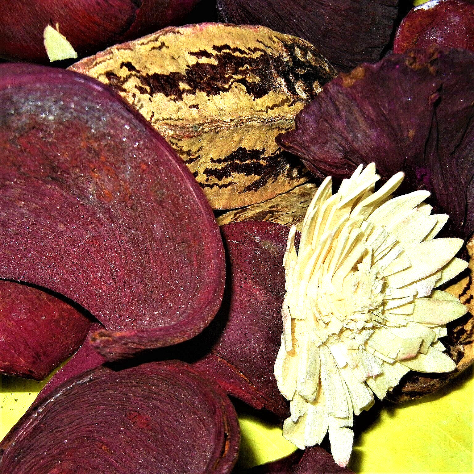 Flora Crafts Stems Dried Lotus Pods Curly Bark Flowers 3lbs