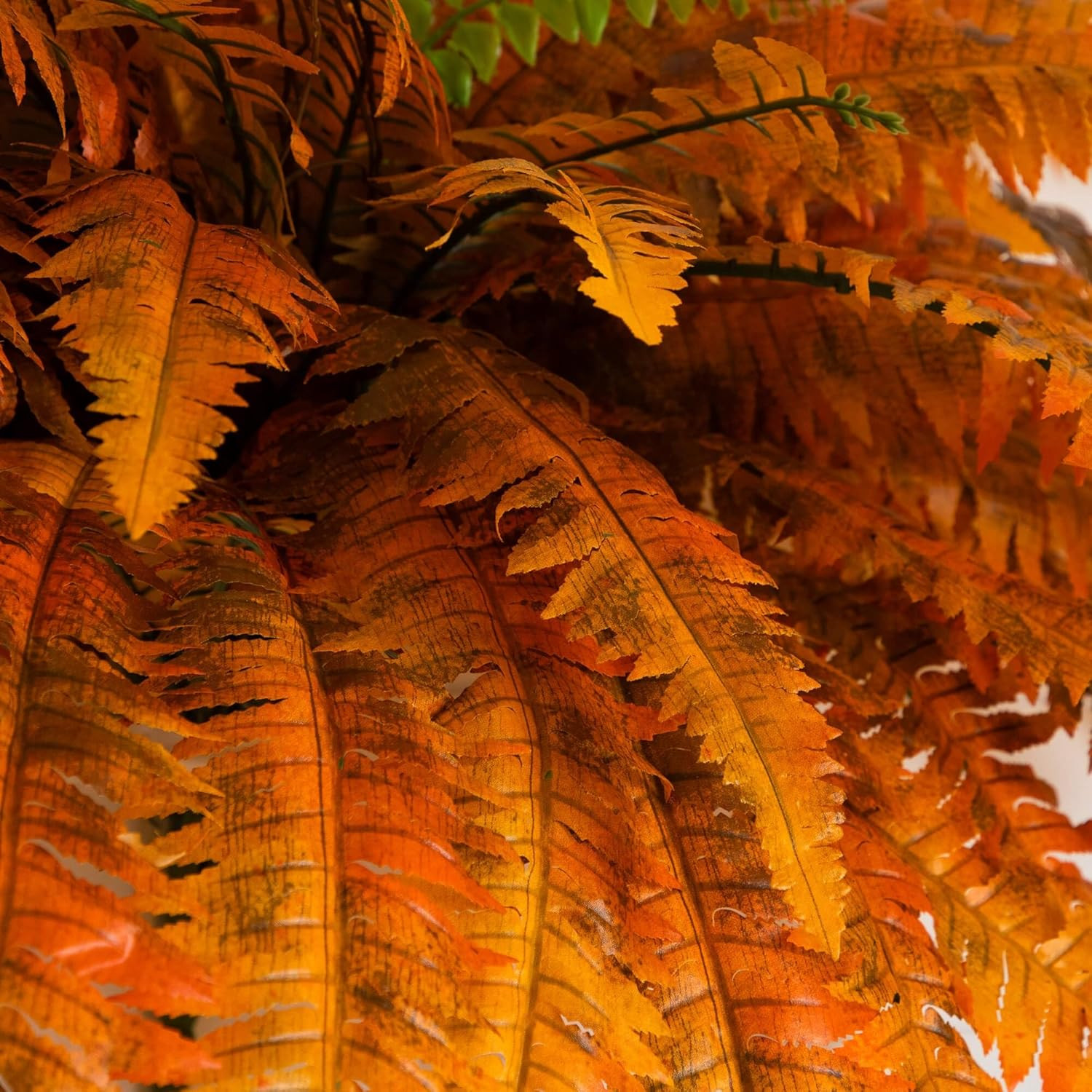 48-Inch Autumn Artificial Fall Boston Fern Set of 2 – Harvest Season Foliage Mim