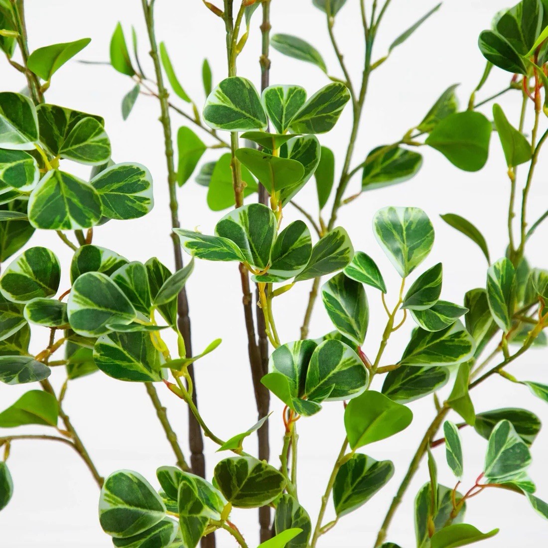 4′ Artificial Heart Shaped Ficus Leaf Tree