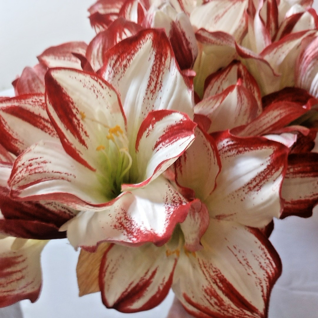 Silk flower Amaryllis Stems 7 Stalks Approximately 29″ Beautiful, Stems AS IS