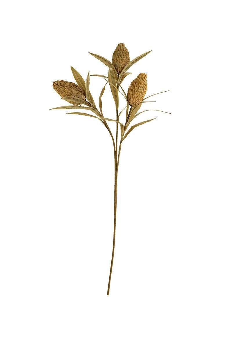 Botanica #2493