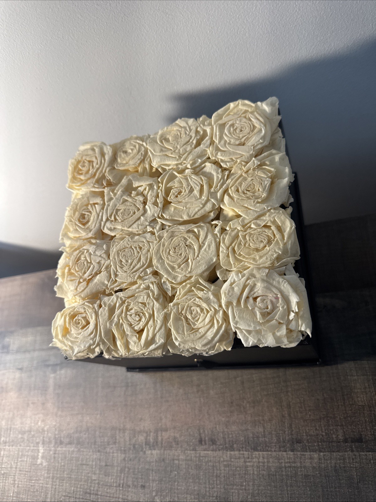 Venus et fleur Small Squire Blush Roses