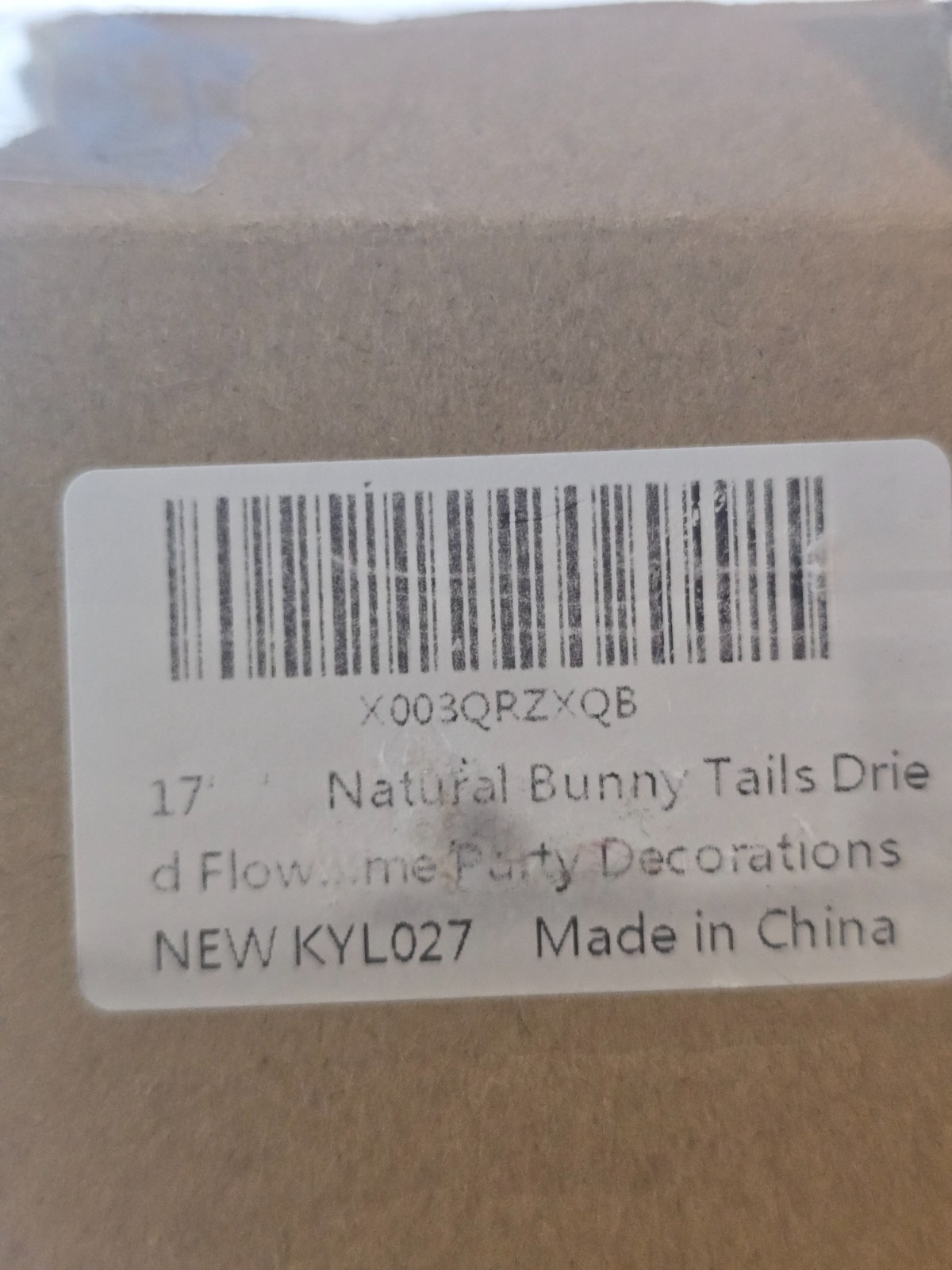 120pcs Natural Bunny Tails Dried Flowers 17in Lagurus Ovatus Pampas Grass Decor