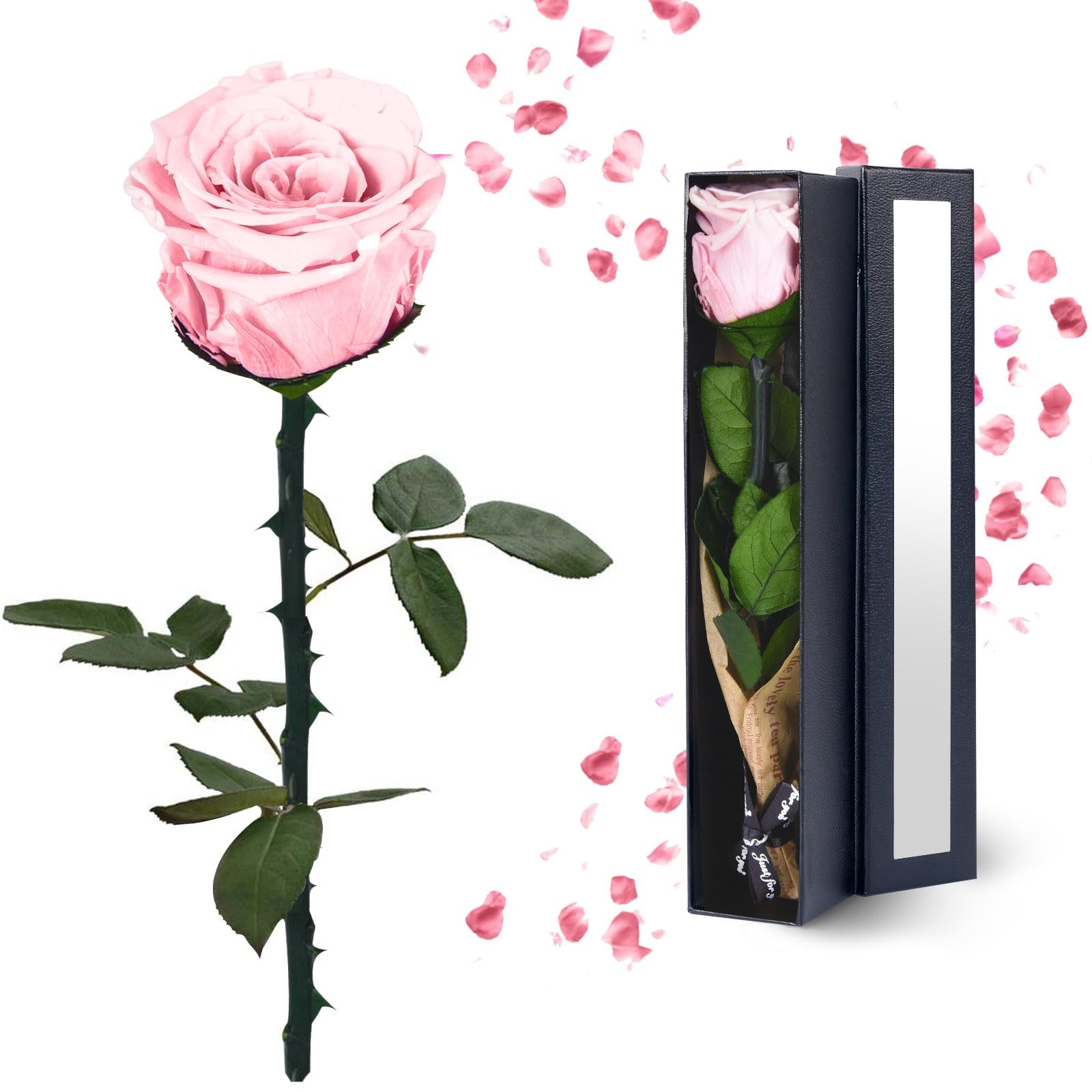 1 PCS Light Pink Single Preserved Forever Rose Flowers Gifts Anniversary