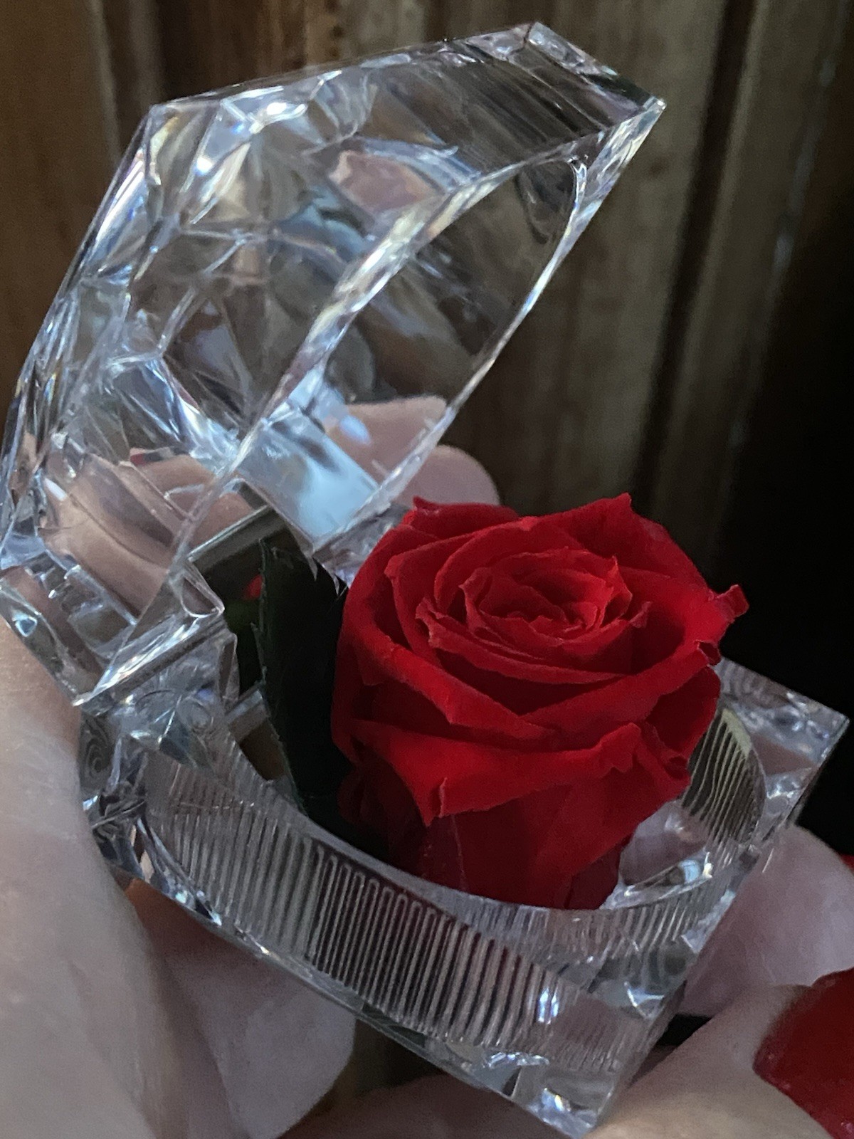 Preserved Rose Real Forever Rose in Mini Clear Ring Box, Eternal RED Rose NEW