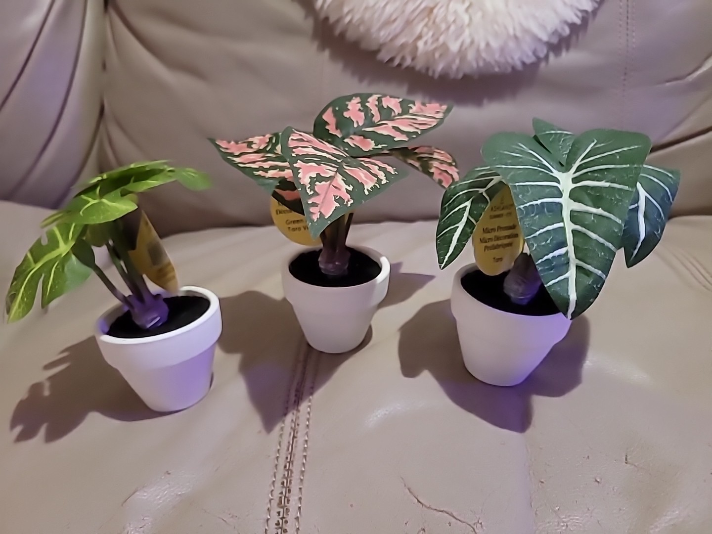 3 x Ashland Artificial Micro Plant Deco Spring Ceramic Potted 4″ H