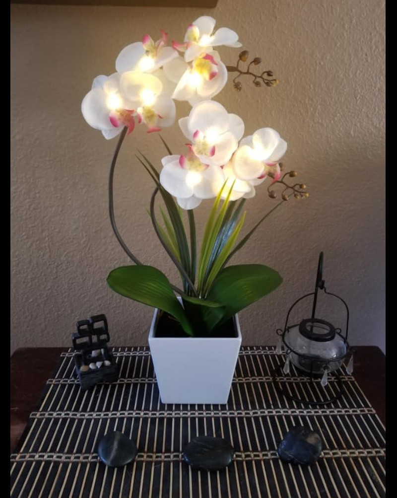 Homeseaons Orchid Lamp-Led Lighted Orchid Arrangements,Pre Lit Artificial Orchid