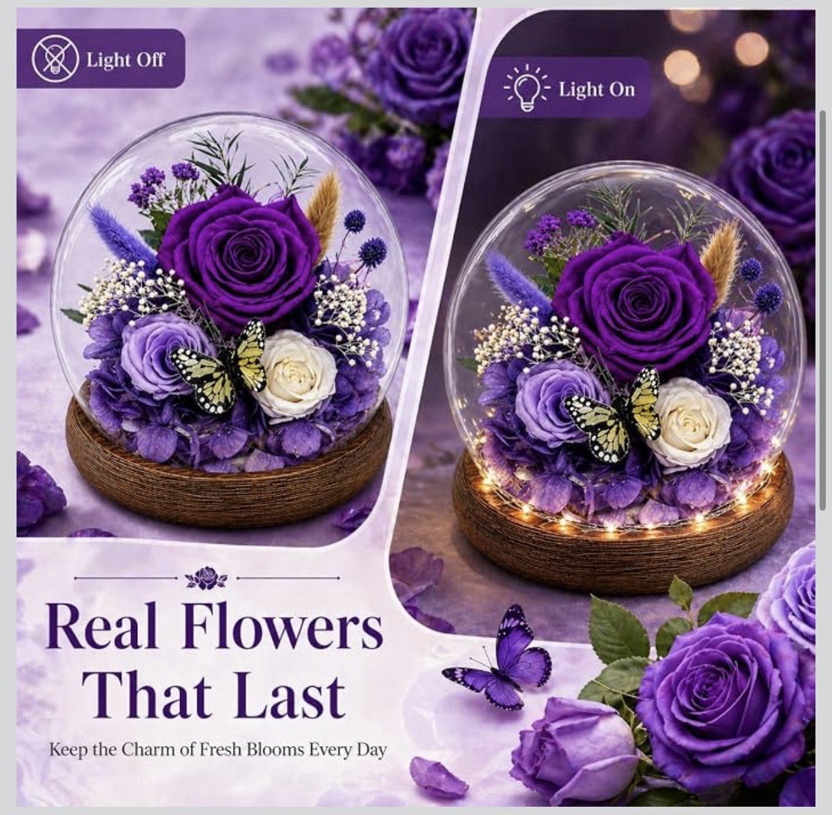 Purple/White Fresh Rose & Butterfly in Glass Dome w/ LED Base