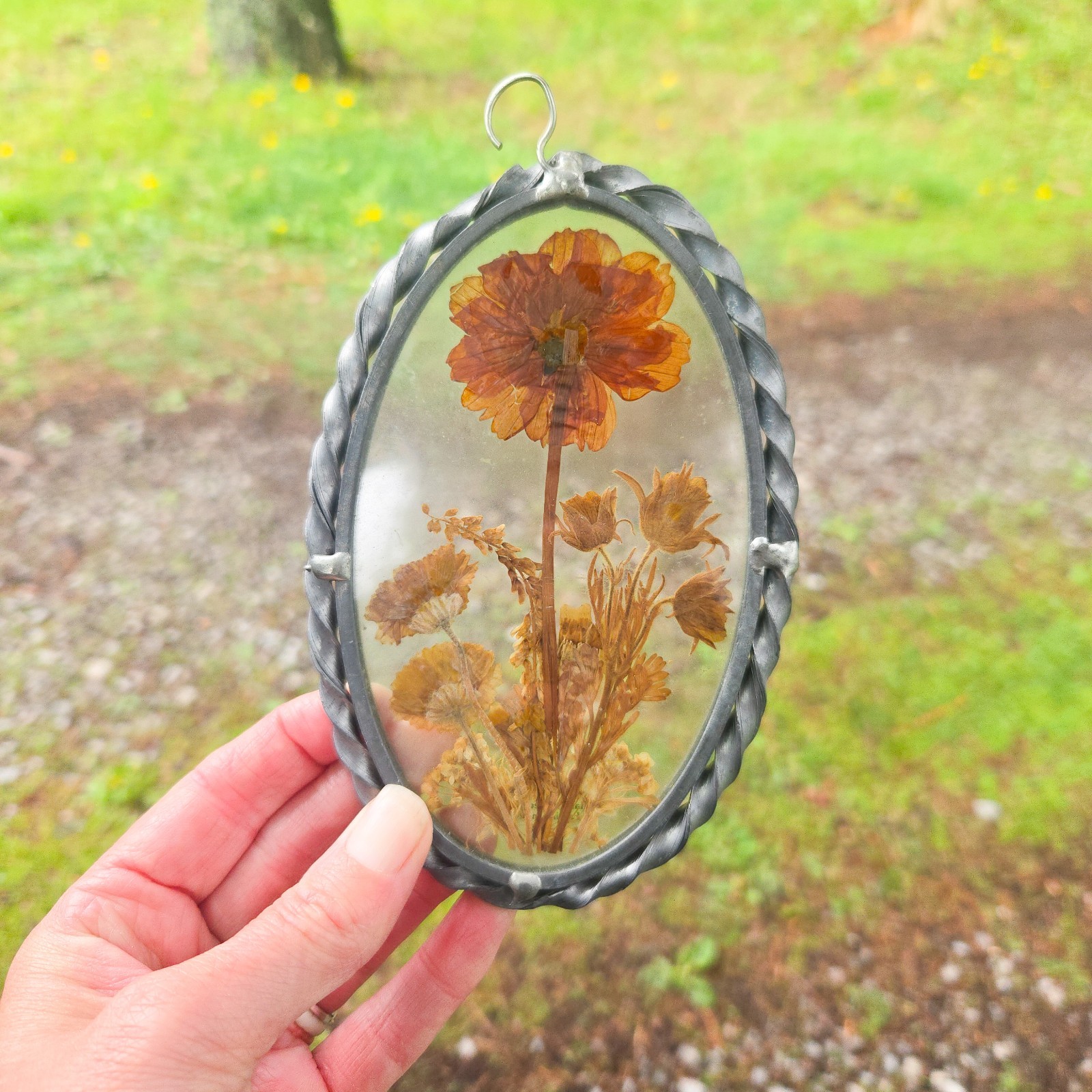 Pressed Flower Glass Frame Oval Wall Hanging Botanical Herbarium Decor