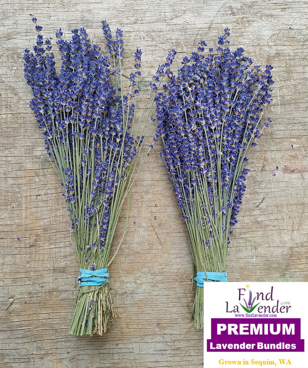 Lavender Dried Premium Bundles (Royal Velvet) – 10″- 14″ L – (2 Bundles) – 2017
