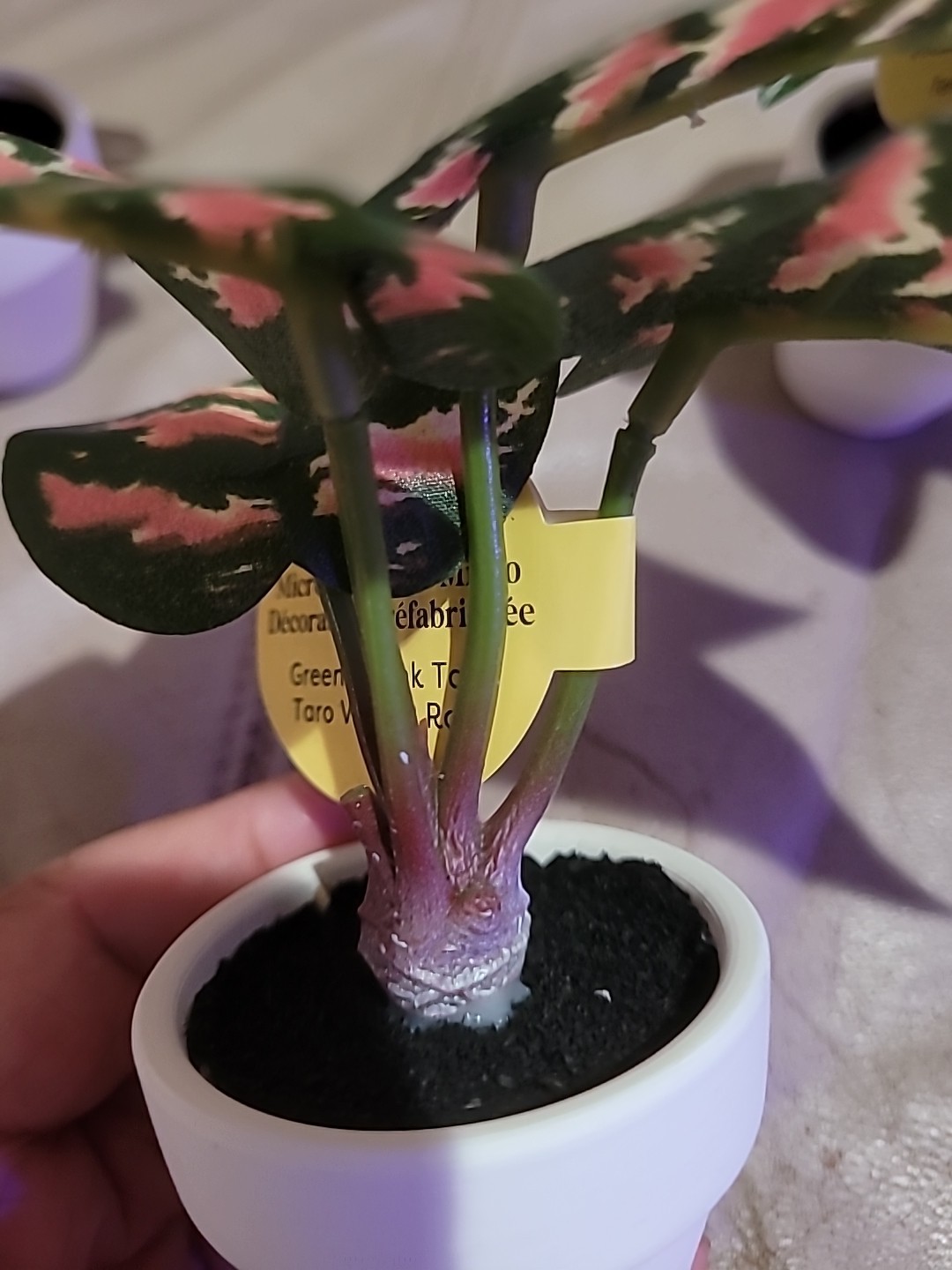 3 x Ashland Artificial Micro Plant Deco Spring Ceramic Potted 4″ H