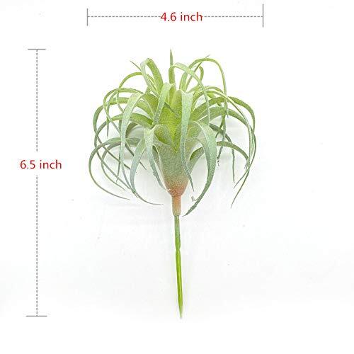 4 Pack Artificial Air Plants Flocked Tillandsia Bromeliads Terrarium Decor