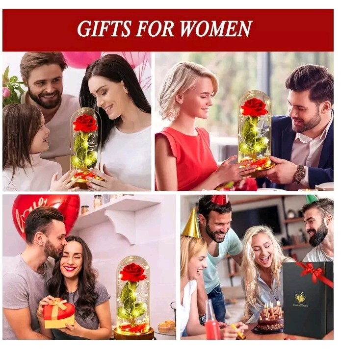Rose Gifts for Women Beauty and the Beast Rose Kit, Red Silk Rose Lasts Forever