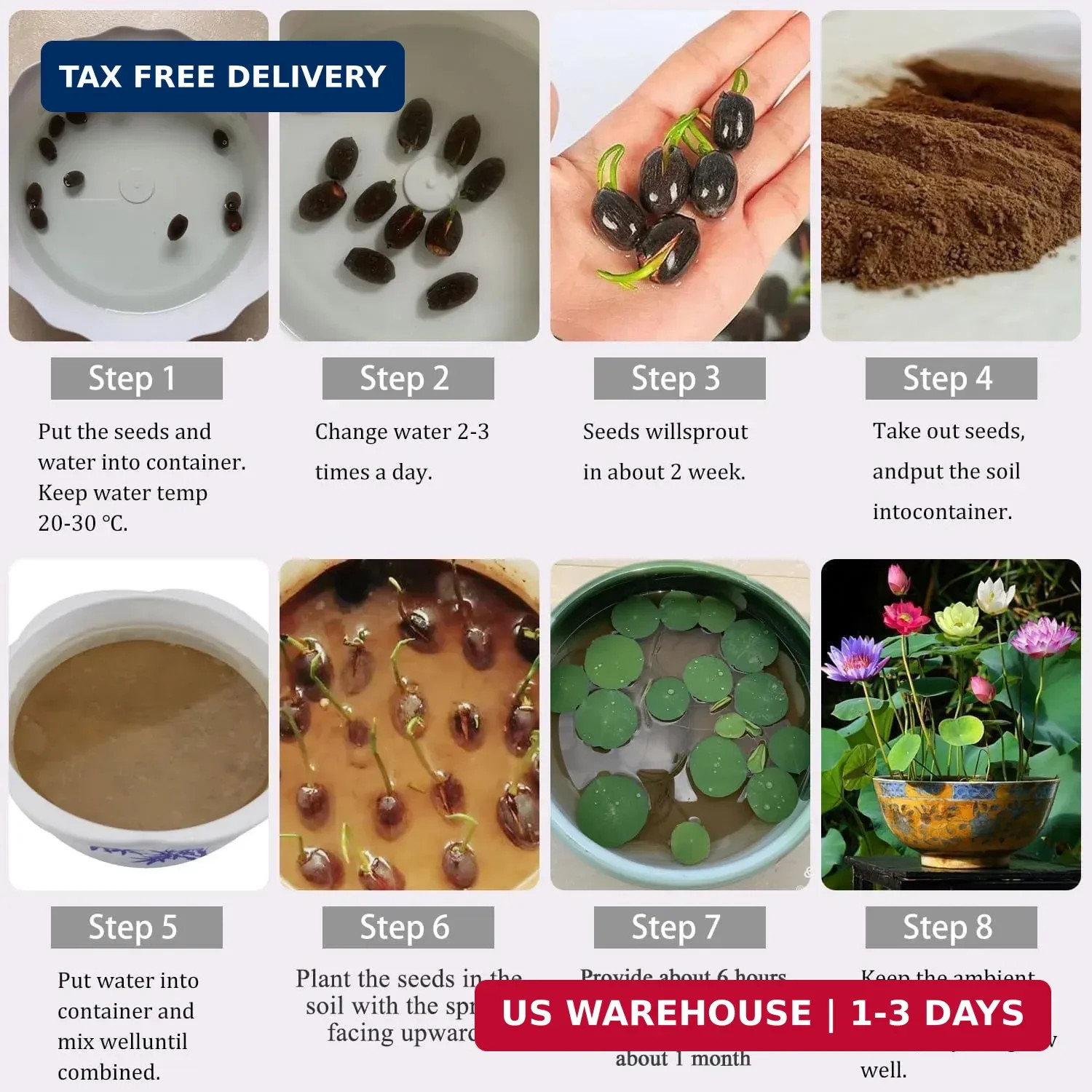 160pcs Mixed Color Bowl Lotus Seeds for Planting – Non-GMO Bonsai Lotus, Water L