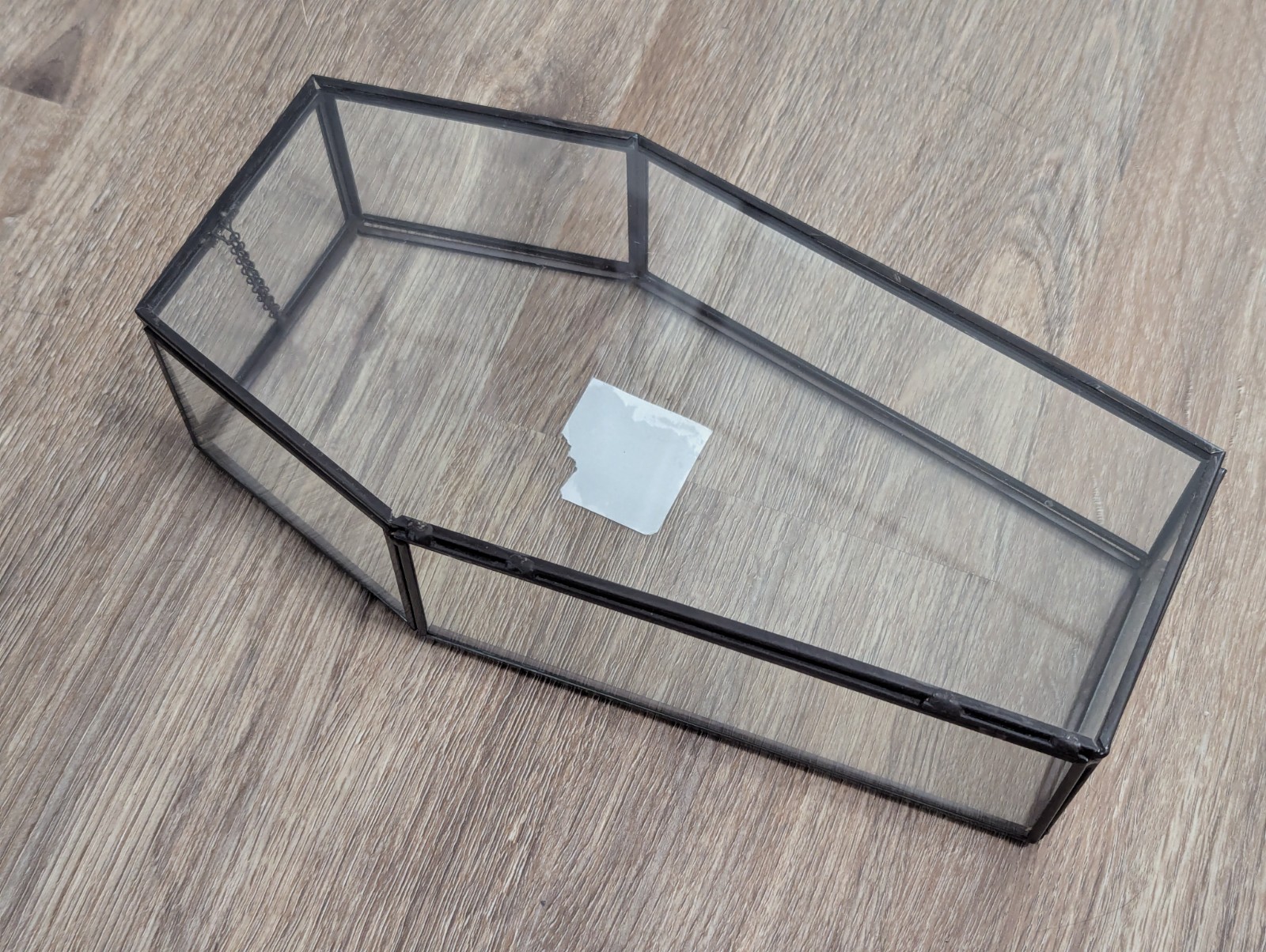 Glass Halloween 9.75″ Terrarium Medium Coffin by Ashland NEW