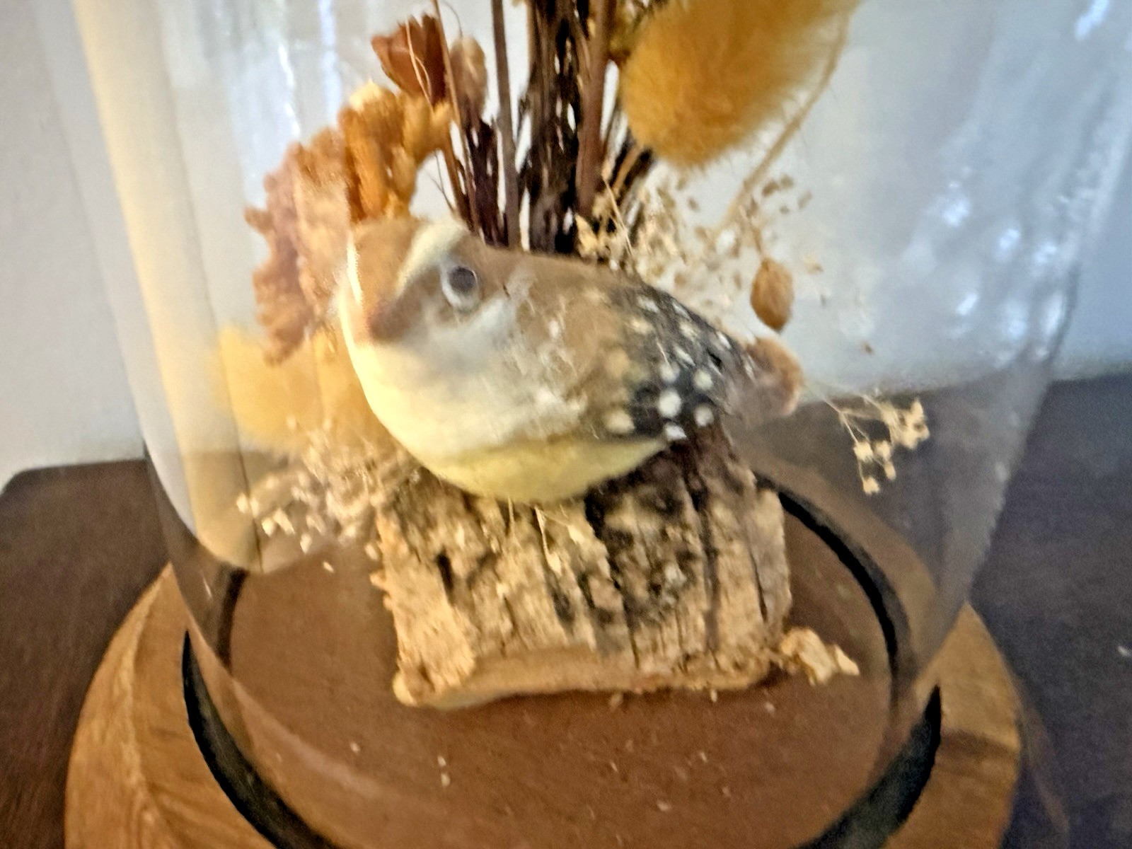 Vintage Hand Made Dried Floral & Bird Diorama / Terrarium Glass Dome Display