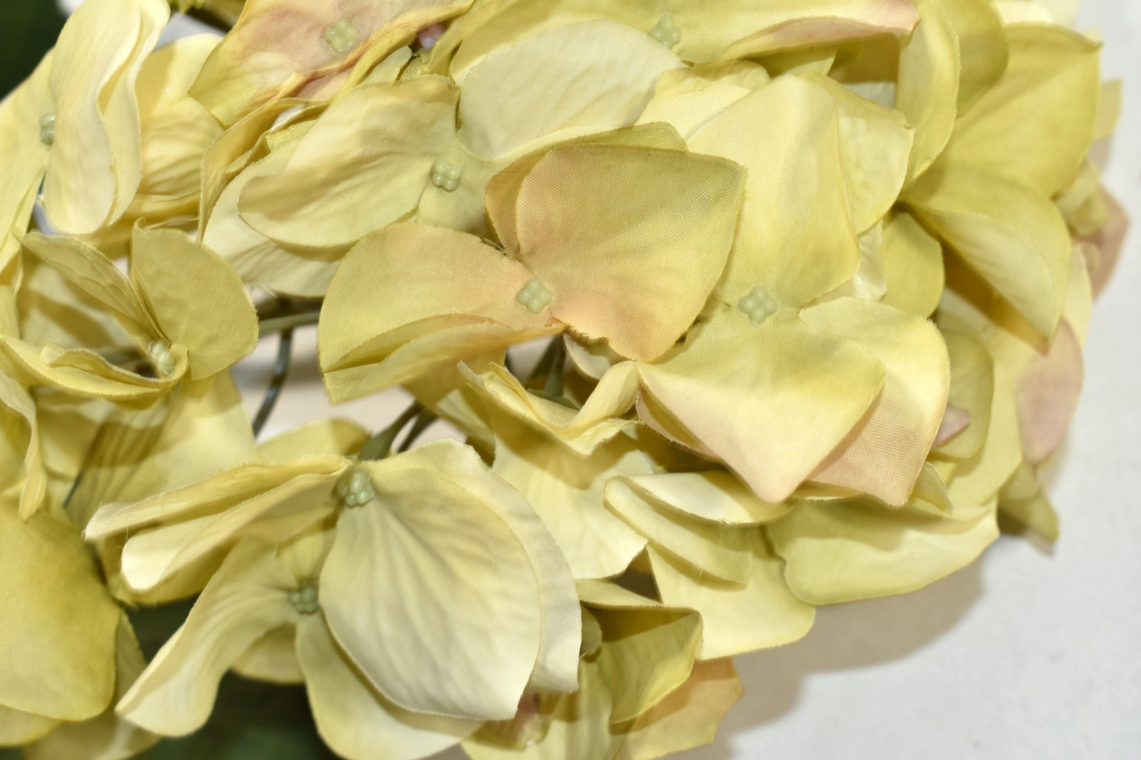 Pottery Barn Faux Hydrangea Ivory Branch Artificial Flower 26″ Stem NEW NOS
